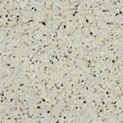 Sandy Shore Swatch