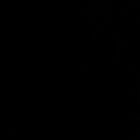 Satin Black Swatch